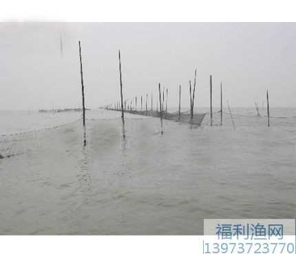 拦河网拦江网拦水库网